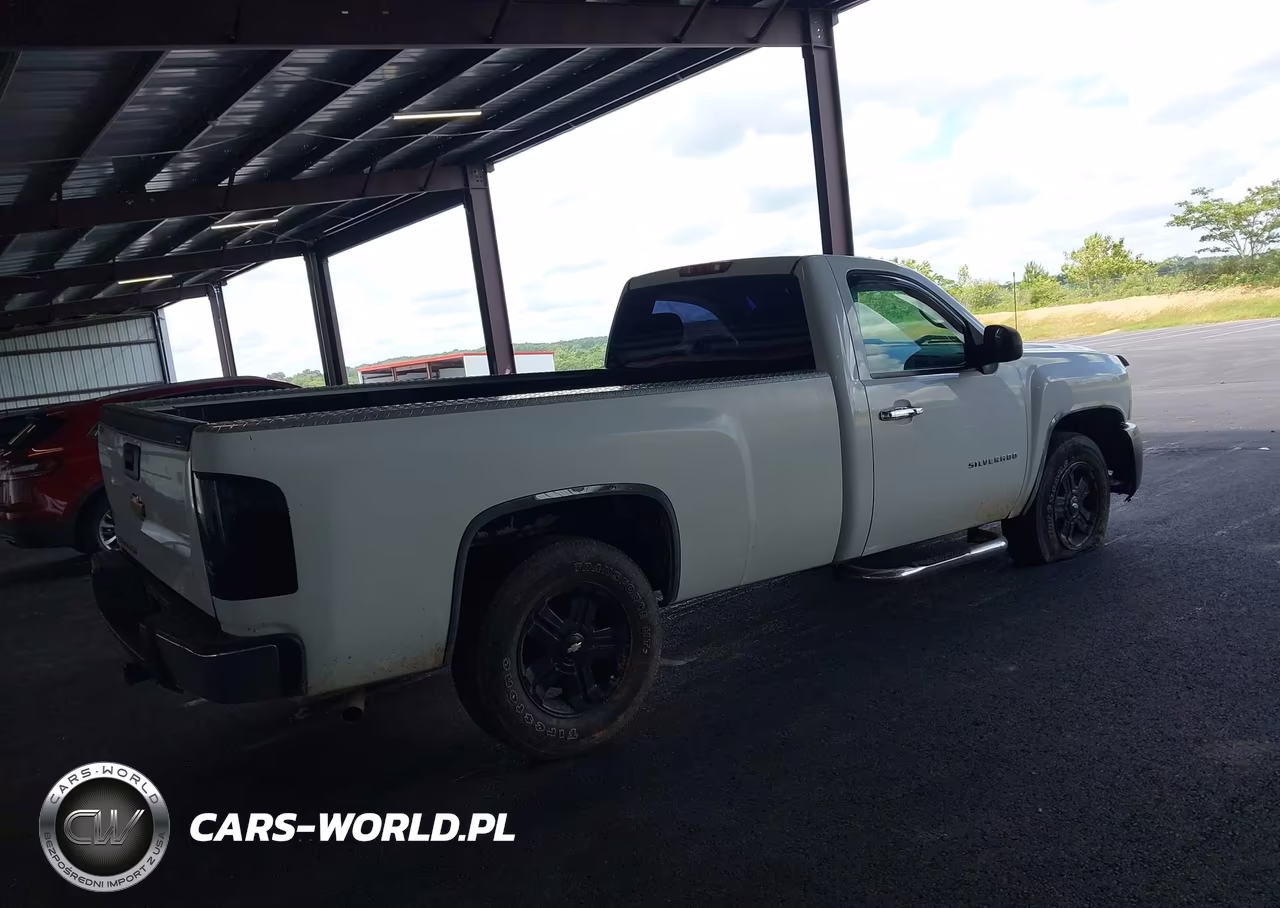 2012 Chevrolet Silverado 1500 Work Truck VIN:1GCNCPEX2CZ266289 - 4