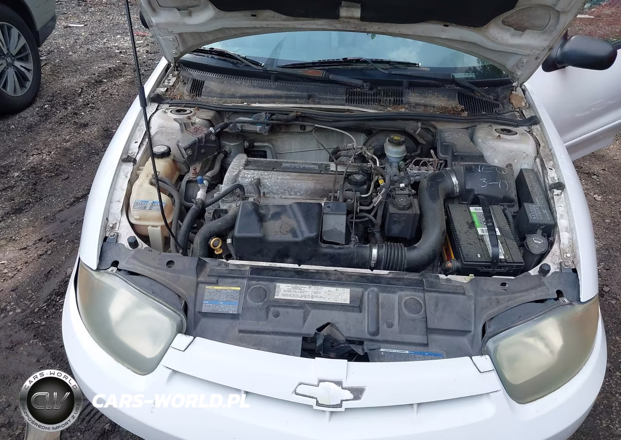 2004 Chevrolet Cavalier VIN:1G1JC52F547128203 - 10