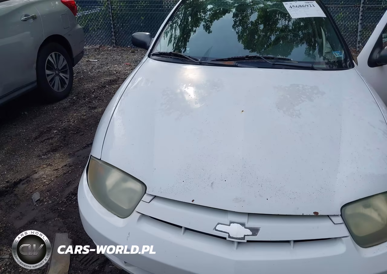 2004 Chevrolet Cavalier VIN:1G1JC52F547128203 - 6