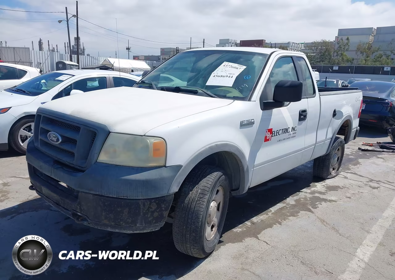 2005 Ford F-150 Stx-Xl-Xlt VIN:1FTRF14W85NA17679 - 2