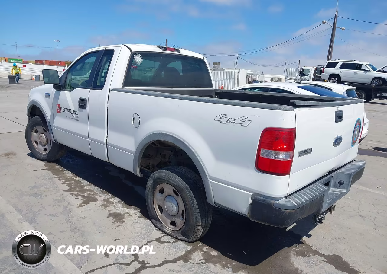 2005 Ford F-150 Stx-Xl-Xlt VIN:1FTRF14W85NA17679 - 3