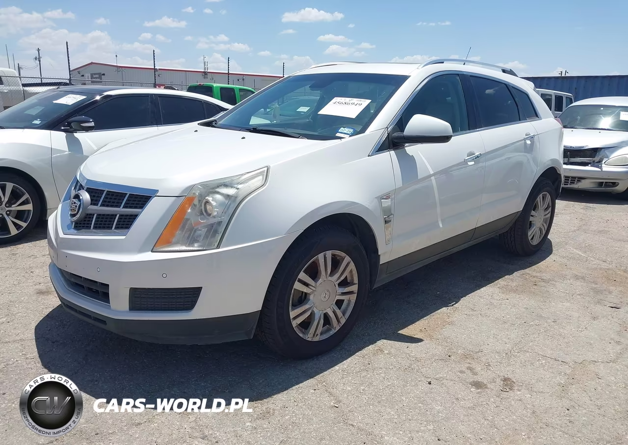 2010 Cadillac Srx Luxury Collection VIN:3GYFNAEY8AS638338 - 2
