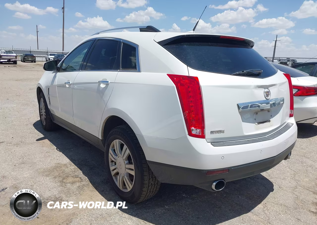 2010 Cadillac Srx Luxury Collection VIN:3GYFNAEY8AS638338 - 3