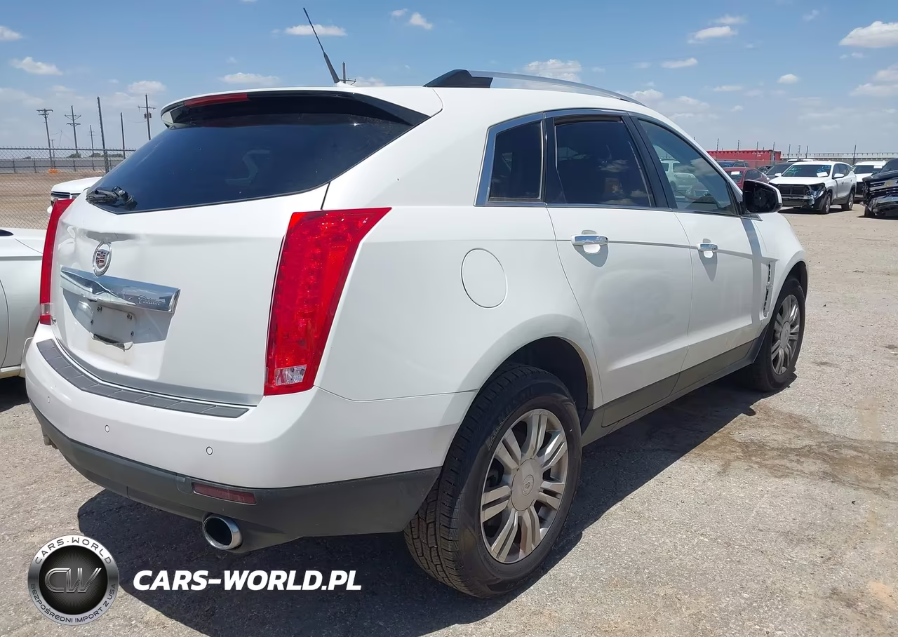 2010 Cadillac Srx Luxury Collection VIN:3GYFNAEY8AS638338 - 4