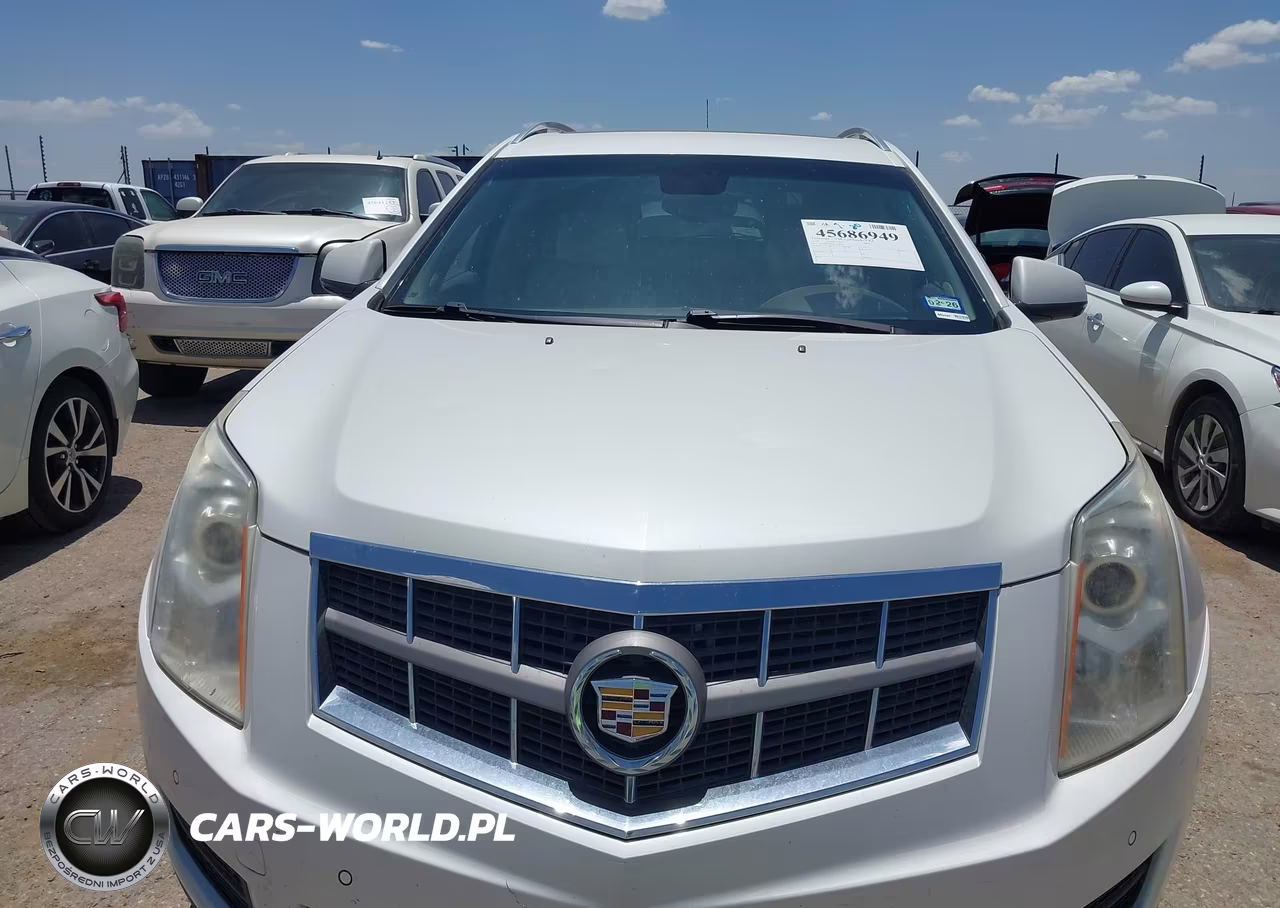 2010 Cadillac Srx Luxury Collection VIN:3GYFNAEY8AS638338 - 6