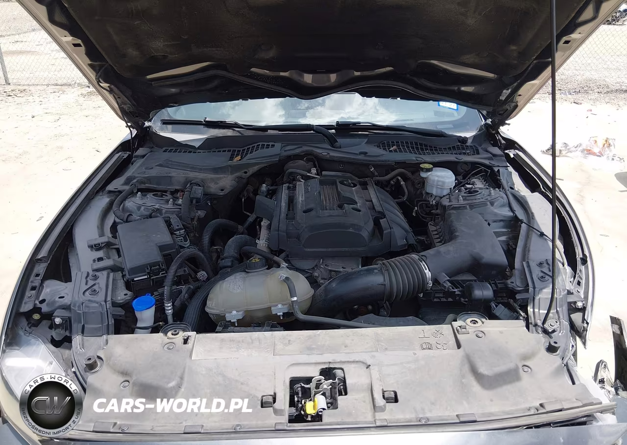 2020 Ford Mustang Ecoboost Fastback VIN:1FA6P8TH7L5178989 - 10