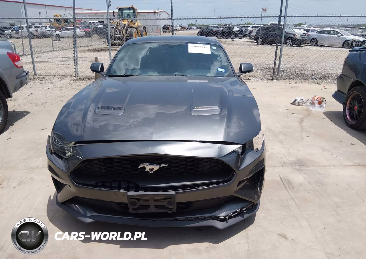 2020 Ford Mustang Ecoboost Fastback VIN:1FA6P8TH7L5178989 - 12