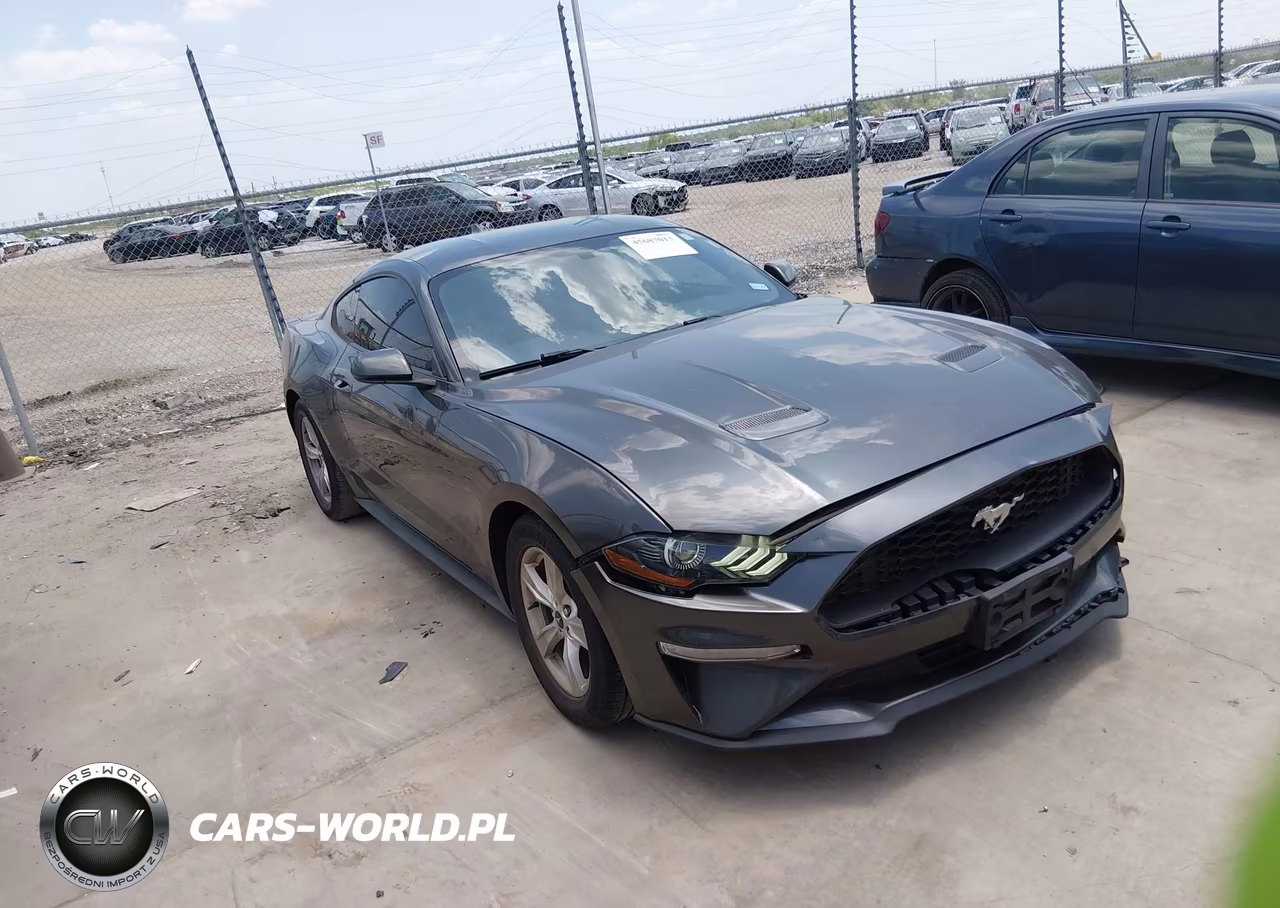 2020 Ford Mustang Ecoboost Fastback VIN:1FA6P8TH7L5178989 - 13