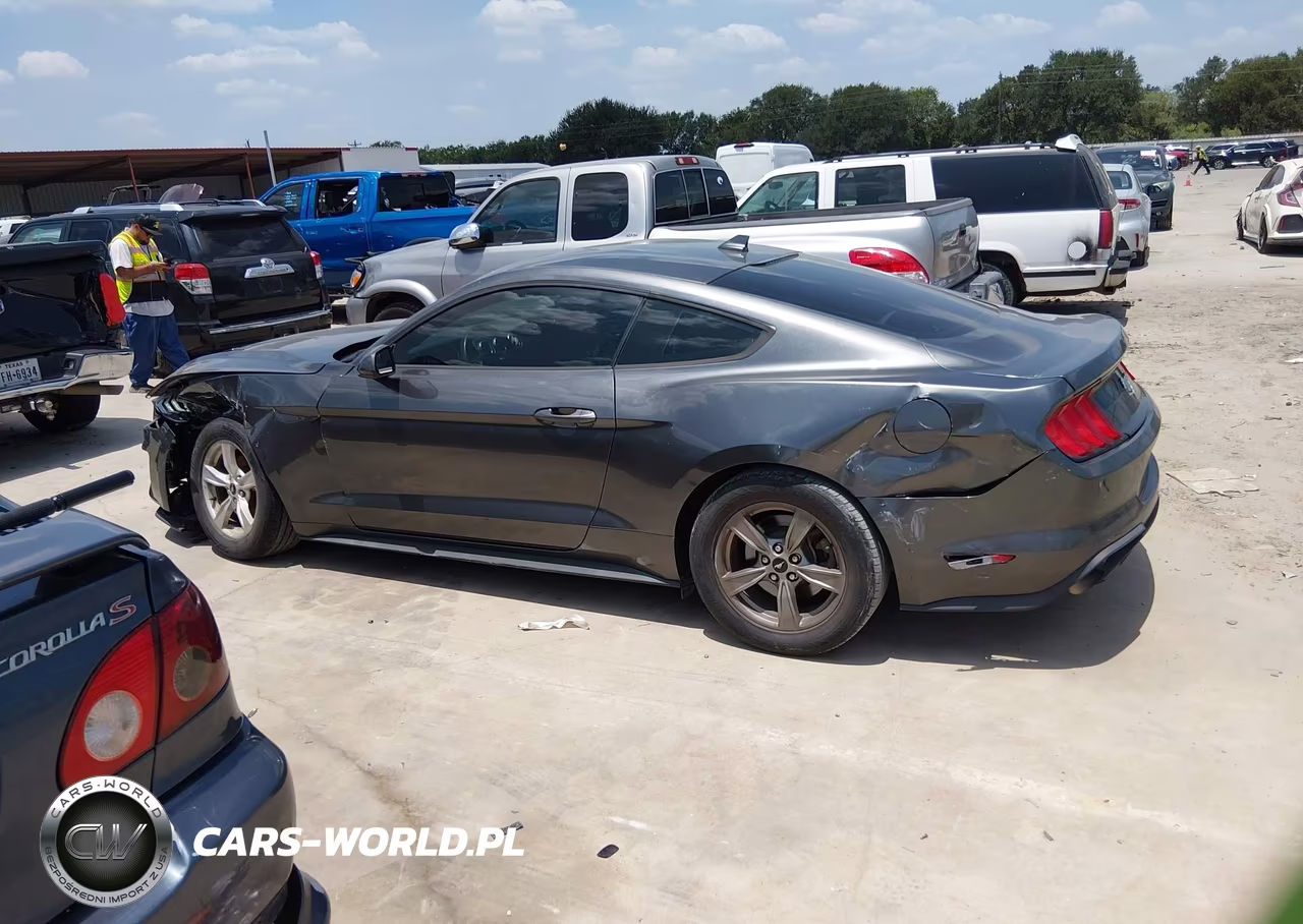 2020 Ford Mustang Ecoboost Fastback VIN:1FA6P8TH7L5178989 - 14