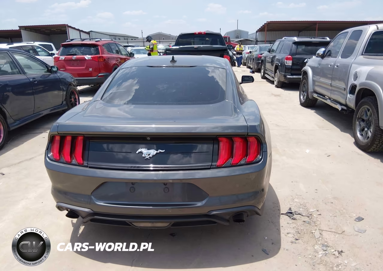 2020 Ford Mustang Ecoboost Fastback VIN:1FA6P8TH7L5178989 - 16