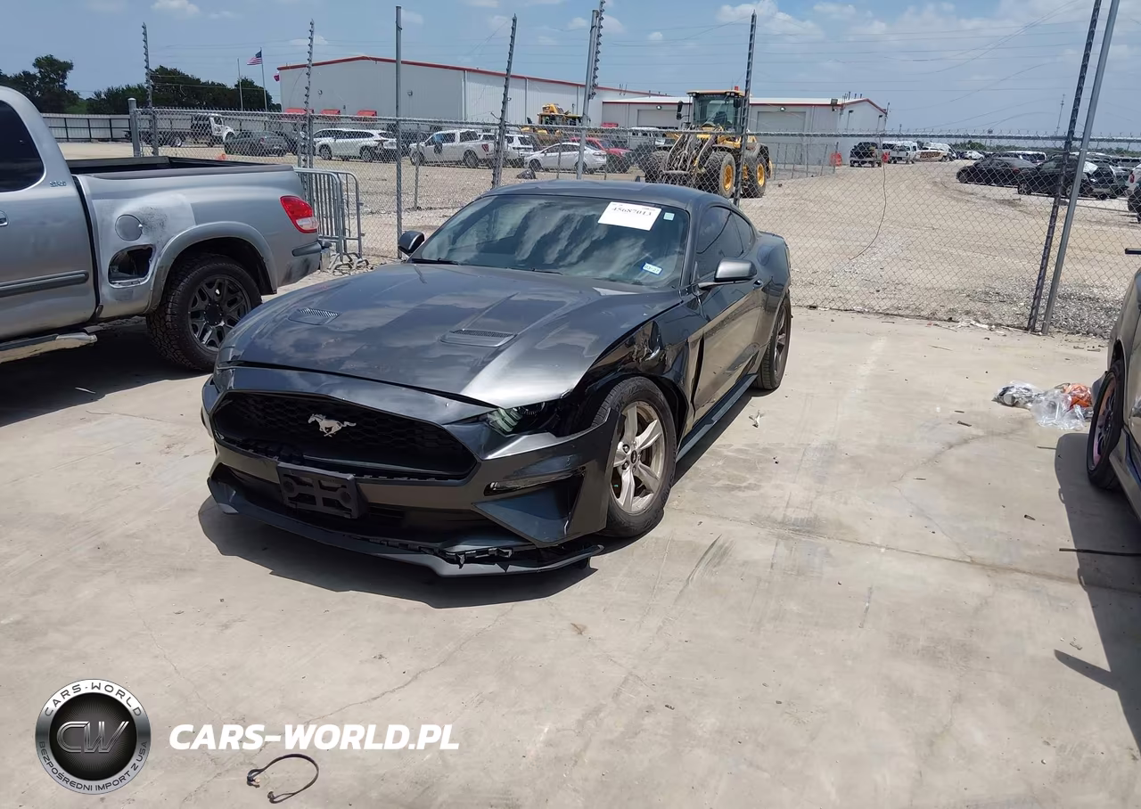 2020 Ford Mustang Ecoboost Fastback VIN:1FA6P8TH7L5178989 - 2
