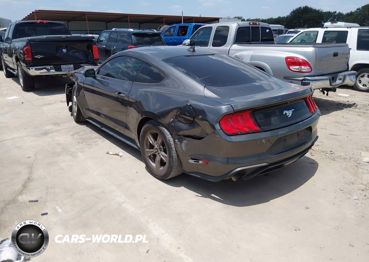 2020 Ford Mustang Ecoboost Fastback VIN:1FA6P8TH7L5178989 - 3