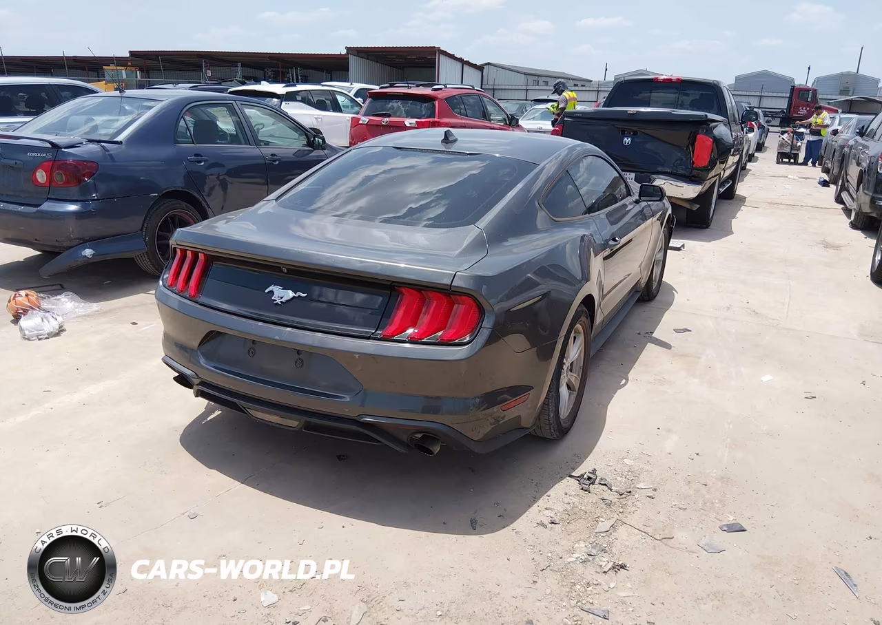 2020 Ford Mustang Ecoboost Fastback VIN:1FA6P8TH7L5178989 - 4