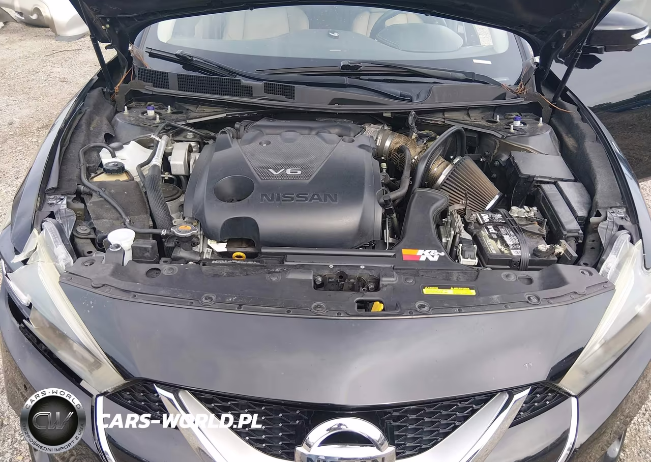 2016 Nissan Maxima 3.5 Platinum VIN:1N4AA6AP8GC415789 - 10