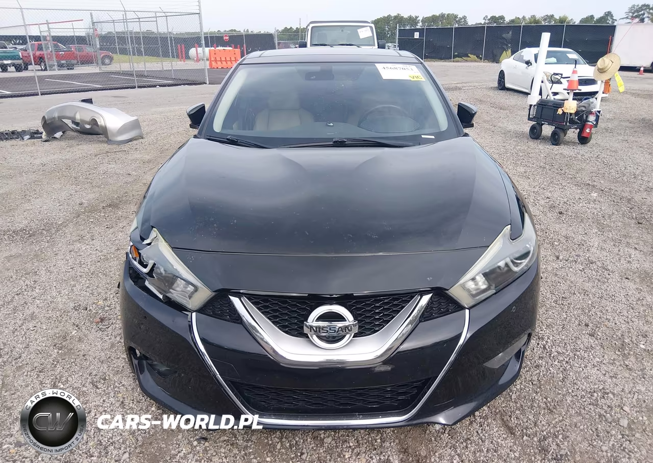 2016 Nissan Maxima 3.5 Platinum VIN:1N4AA6AP8GC415789 - 12