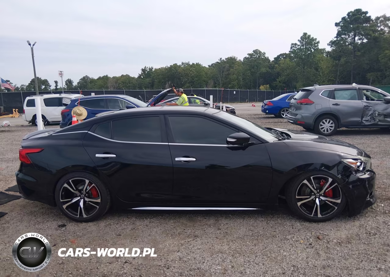 2016 Nissan Maxima 3.5 Platinum VIN:1N4AA6AP8GC415789 - 13