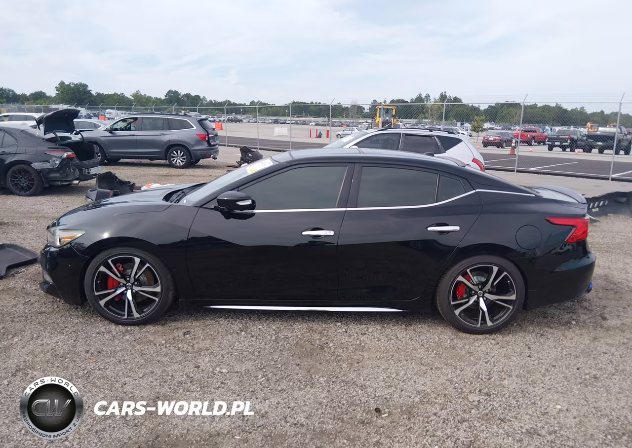 2016 Nissan Maxima 3.5 Platinum VIN:1N4AA6AP8GC415789 - 14