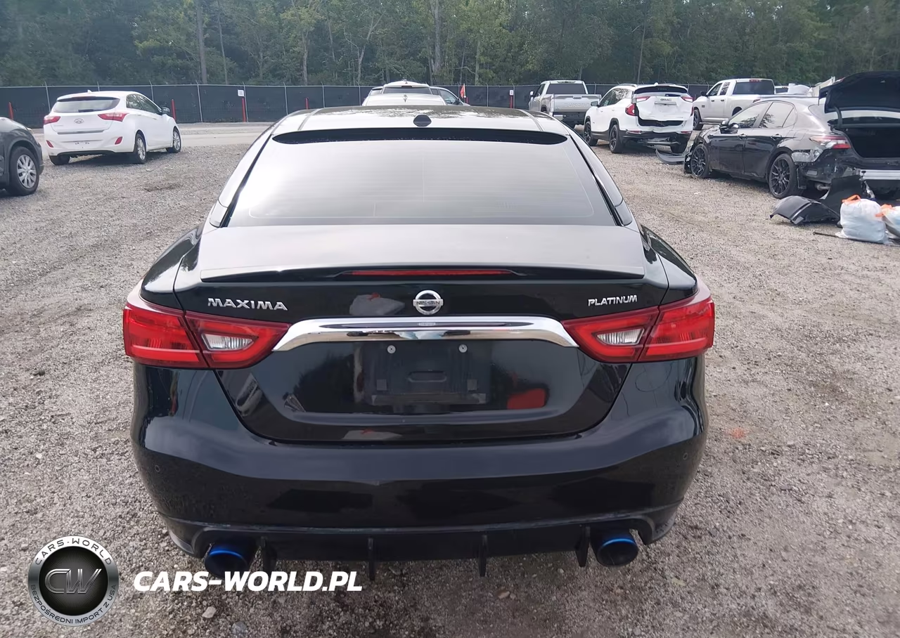 2016 Nissan Maxima 3.5 Platinum VIN:1N4AA6AP8GC415789 - 16