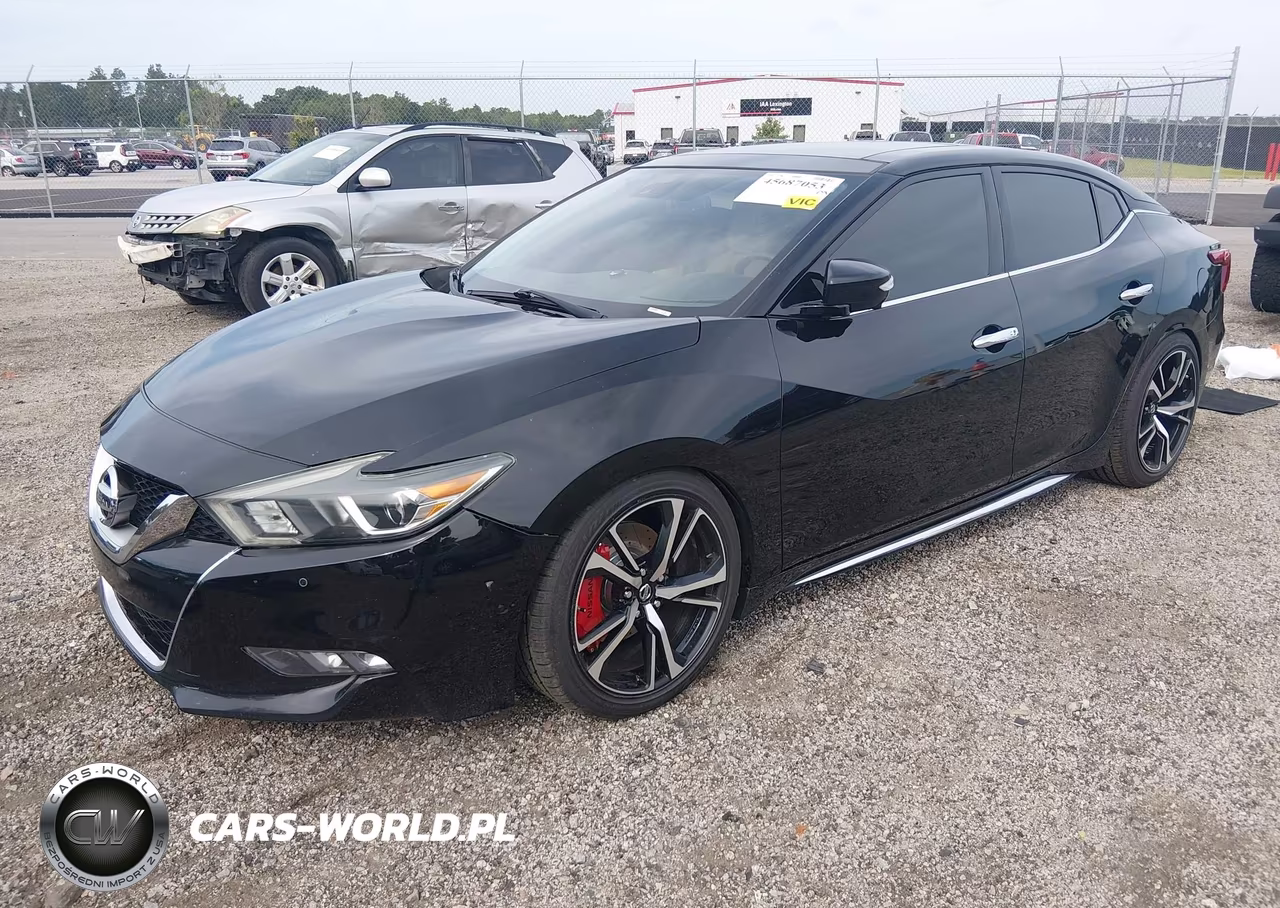 2016 Nissan Maxima 3.5 Platinum VIN:1N4AA6AP8GC415789 - 2