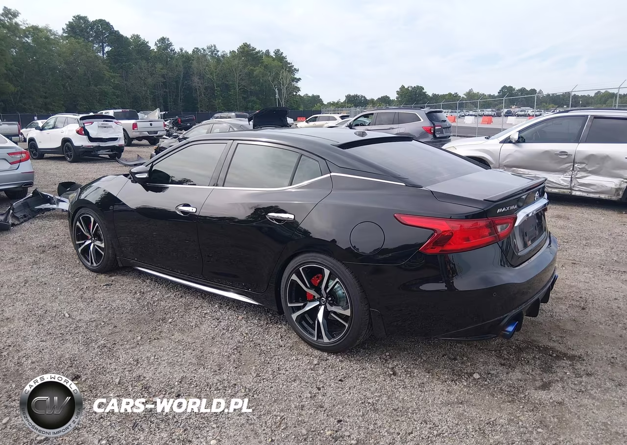 2016 Nissan Maxima 3.5 Platinum VIN:1N4AA6AP8GC415789 - 3