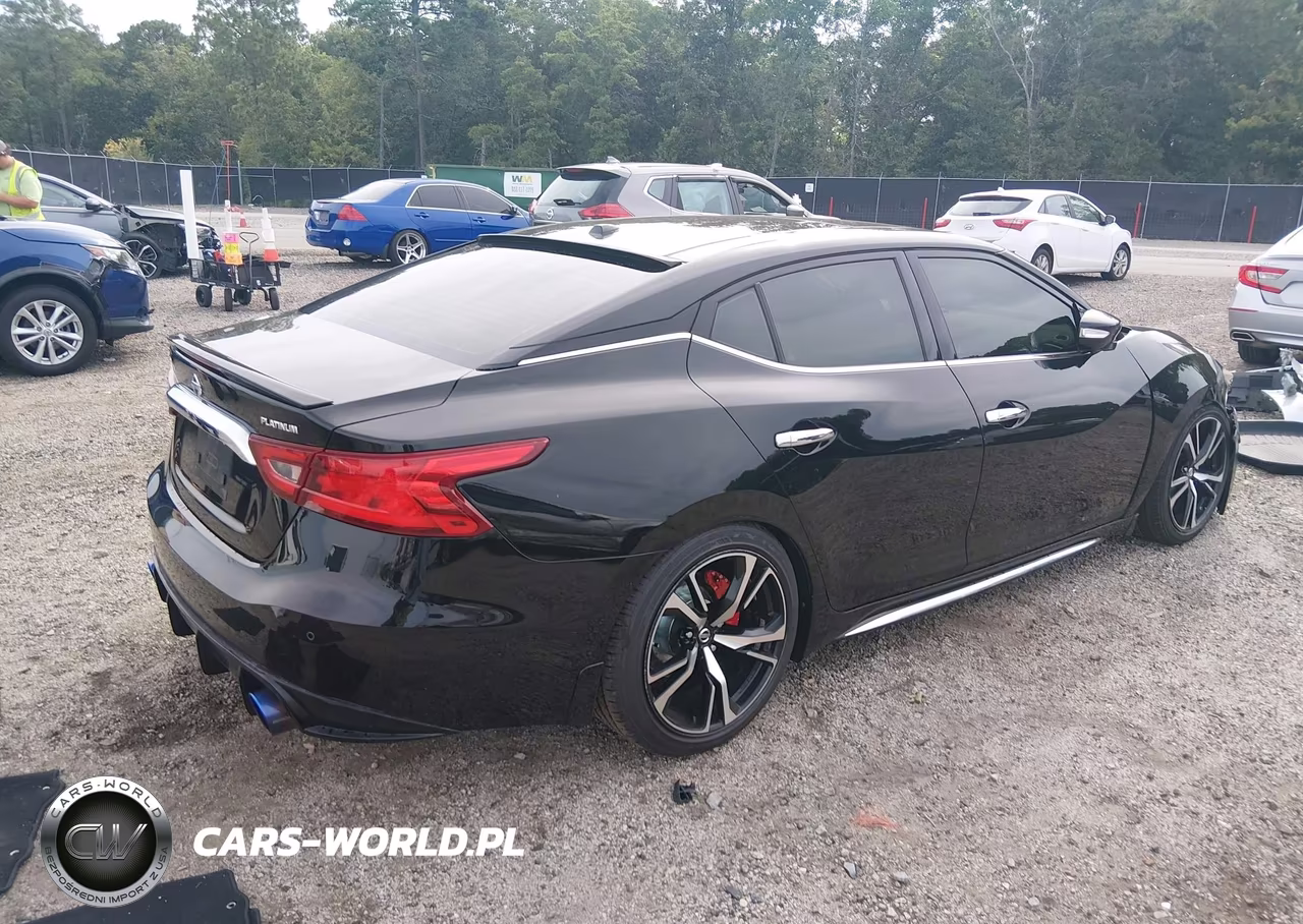 2016 Nissan Maxima 3.5 Platinum VIN:1N4AA6AP8GC415789 - 4