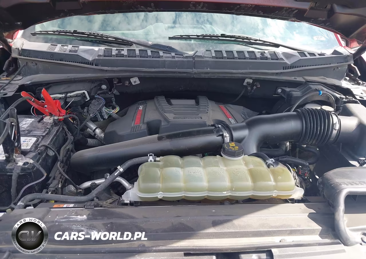 2020 Ford F-150 Raptor VIN:1FTFW1RG6LFB13984 - 10