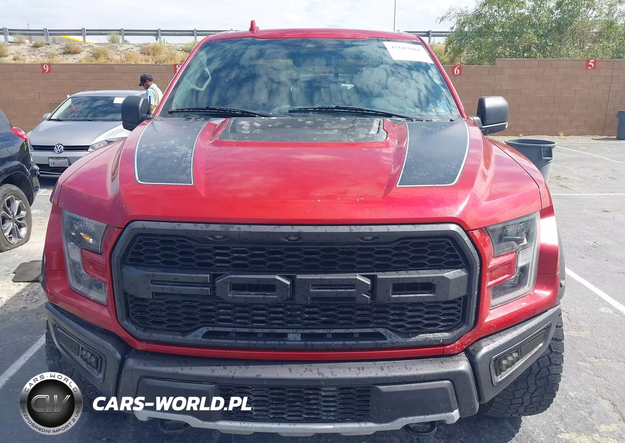 2020 Ford F-150 Raptor VIN:1FTFW1RG6LFB13984 - 12