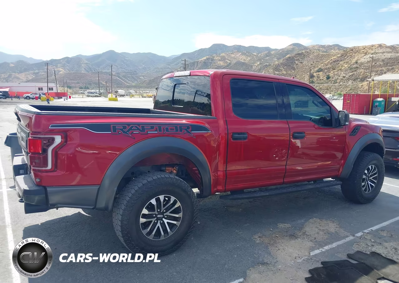 2020 Ford F-150 Raptor VIN:1FTFW1RG6LFB13984 - 13