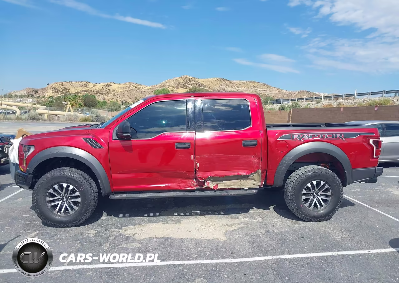 2020 Ford F-150 Raptor VIN:1FTFW1RG6LFB13984 - 14