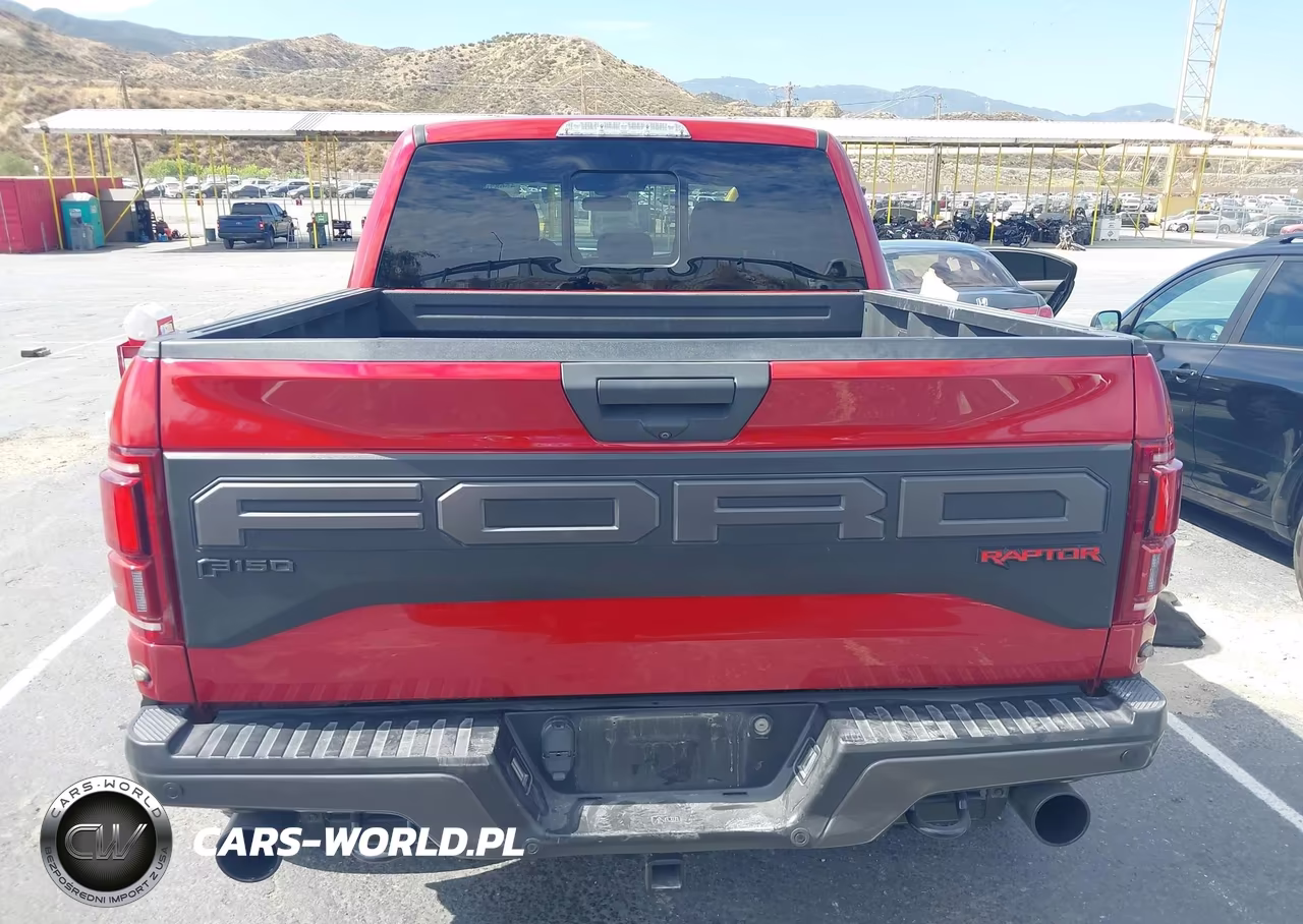 2020 Ford F-150 Raptor VIN:1FTFW1RG6LFB13984 - 16