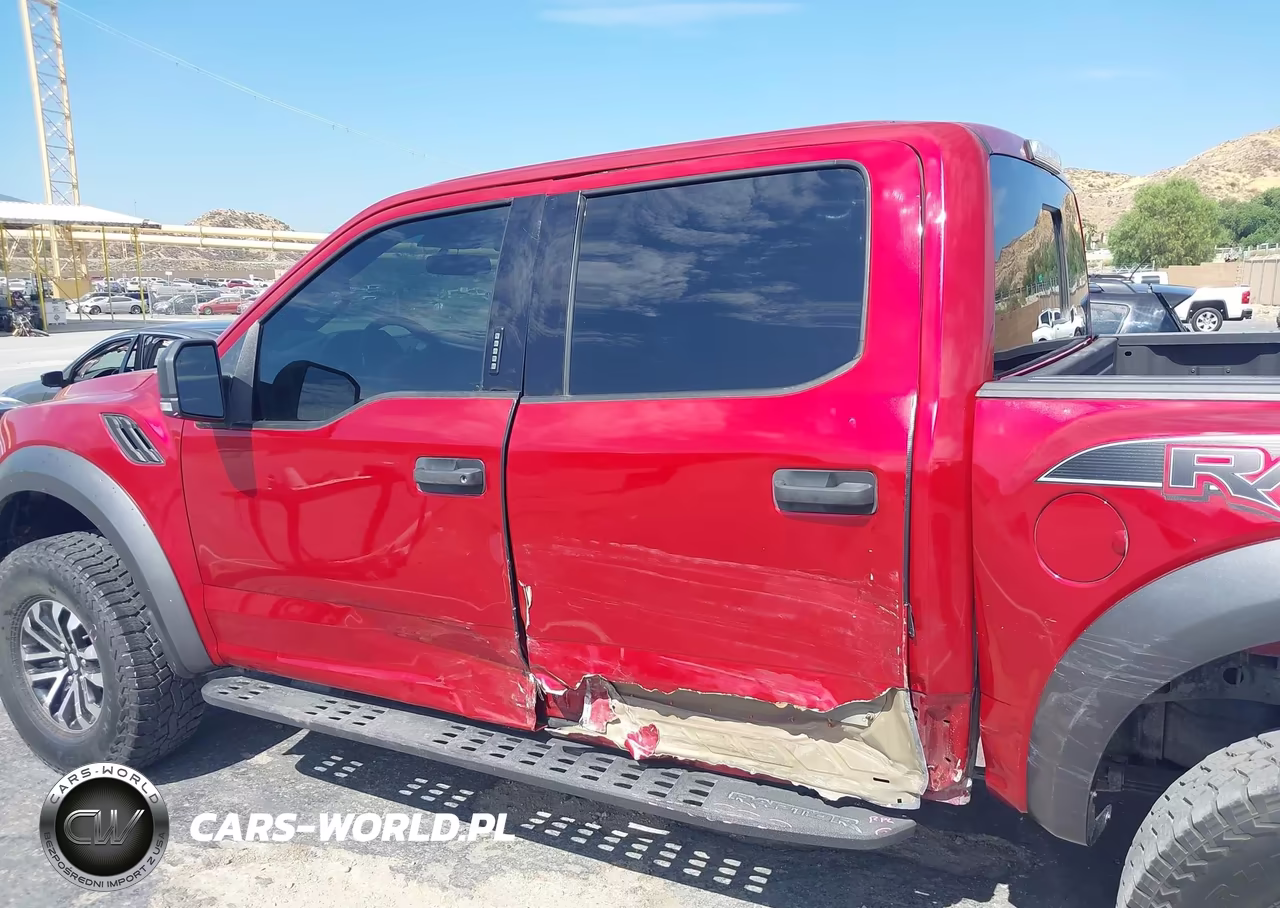 2020 Ford F-150 Raptor VIN:1FTFW1RG6LFB13984 - 17