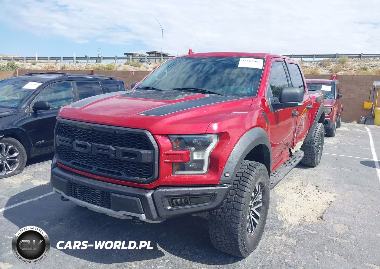 2020 Ford F-150 Raptor VIN:1FTFW1RG6LFB13984 - 2