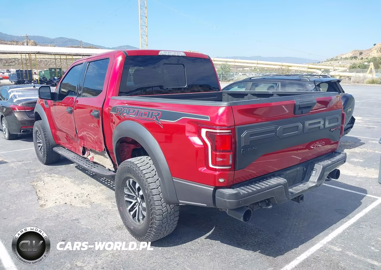 2020 Ford F-150 Raptor VIN:1FTFW1RG6LFB13984 - 3