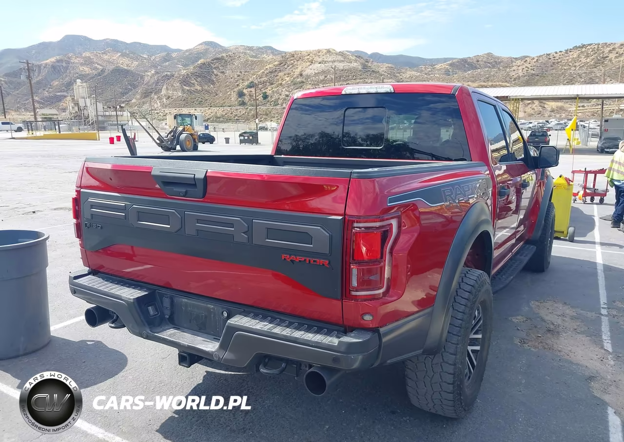 2020 Ford F-150 Raptor VIN:1FTFW1RG6LFB13984 - 4