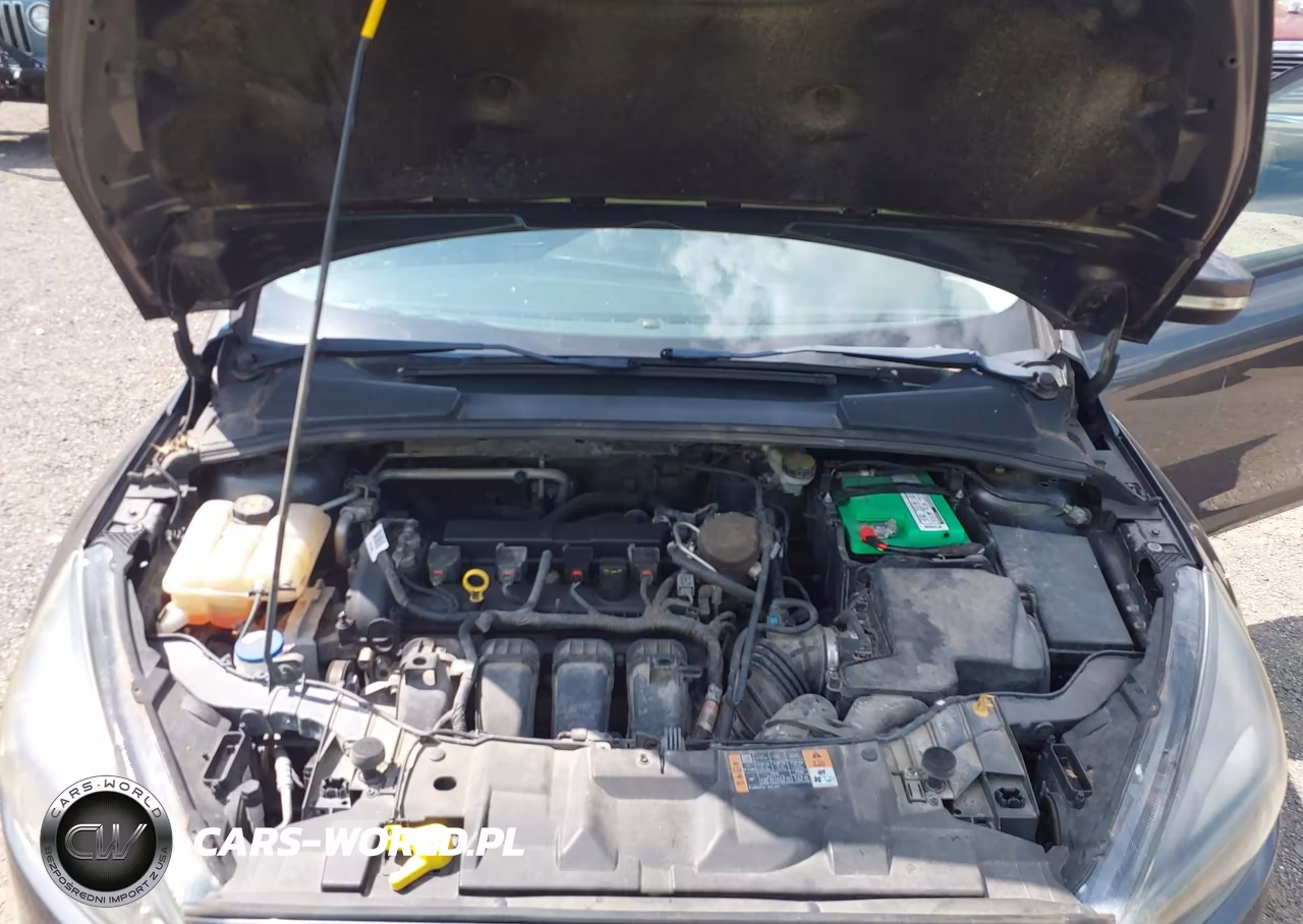 2015 Ford Focus Se VIN:1FADP3F21FL217481 - 10