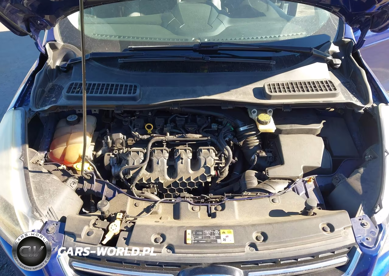 2013 Ford Escape Titanium VIN:1FMCU9J91DUB11816 - 10