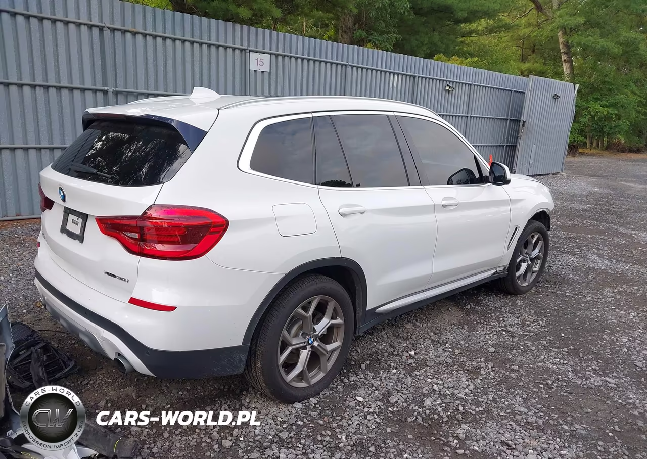 2020 BMW X3 xDrive30I VIN:5UXTY5C02L9D10408 - 4