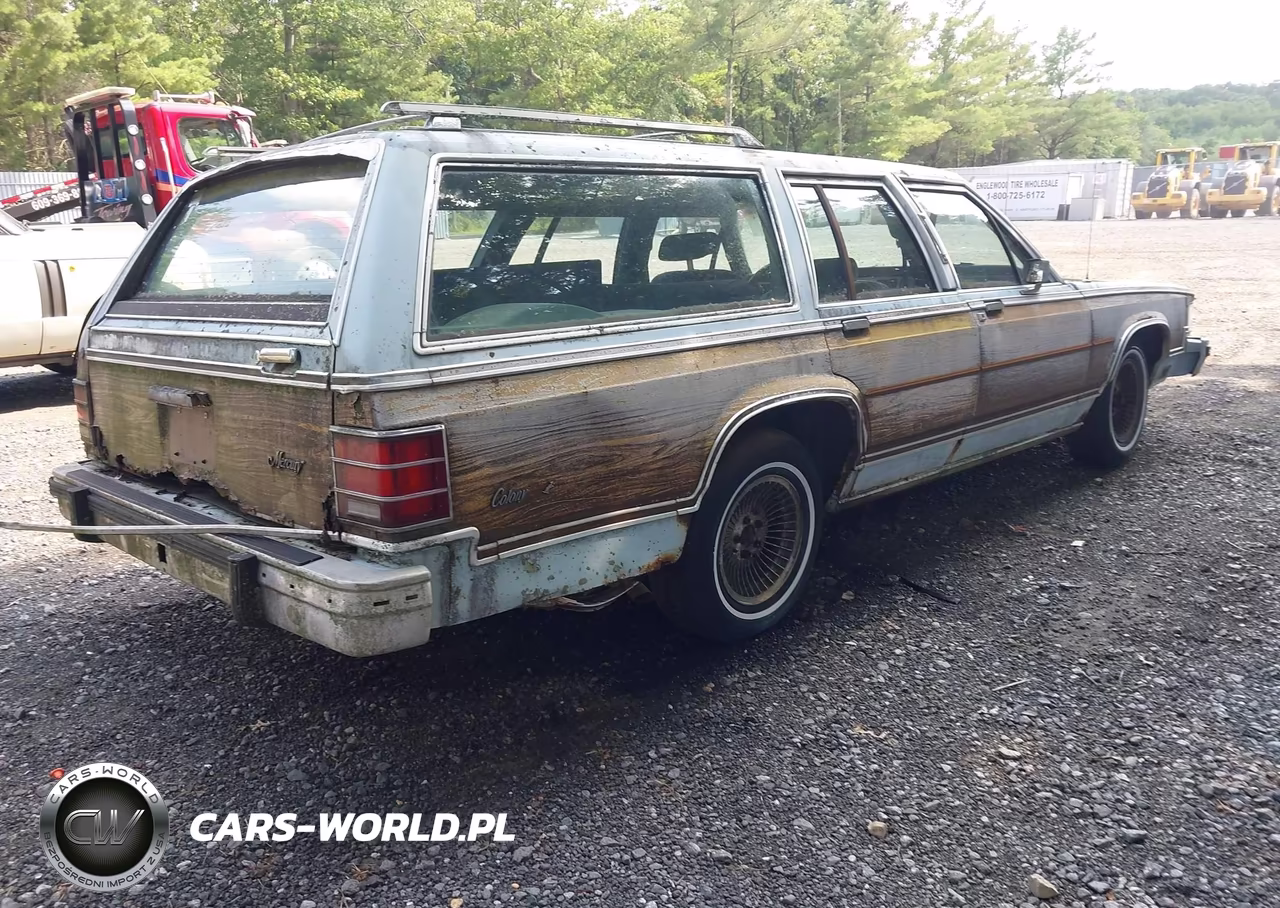 1985 Mercury Marquis Colony Park VIN:2MEBP94F5FX639572 - 4