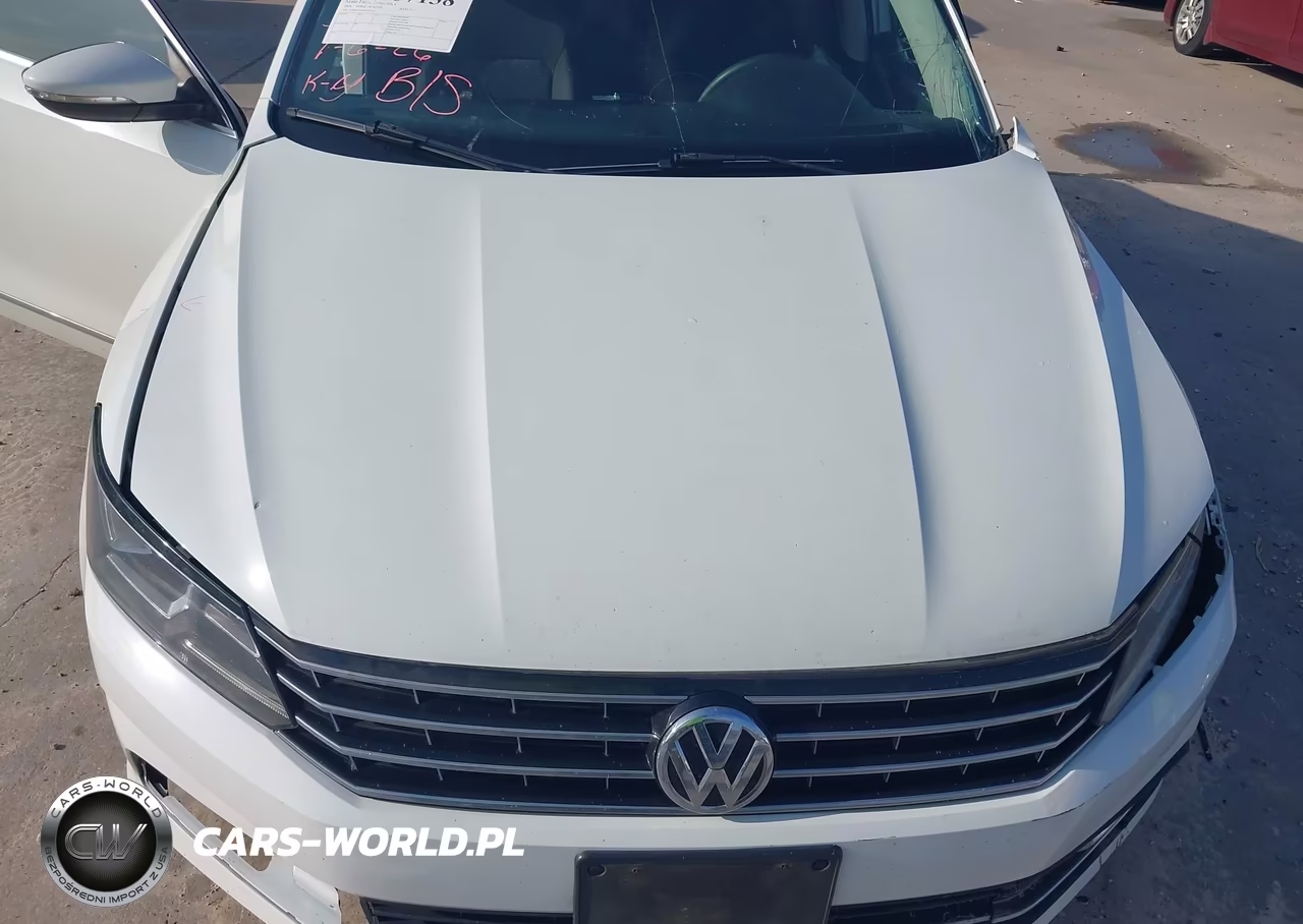 2016 Volkswagen Passat 1.8T S VIN:1VWAT7A3XGC036961 - 10