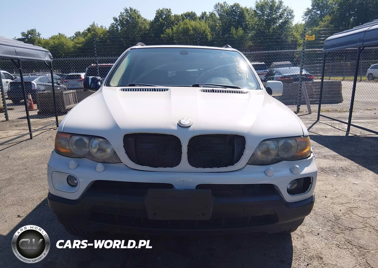 2006 BMW X5 3.0I VIN:5UXFA13576LY40058 - 13