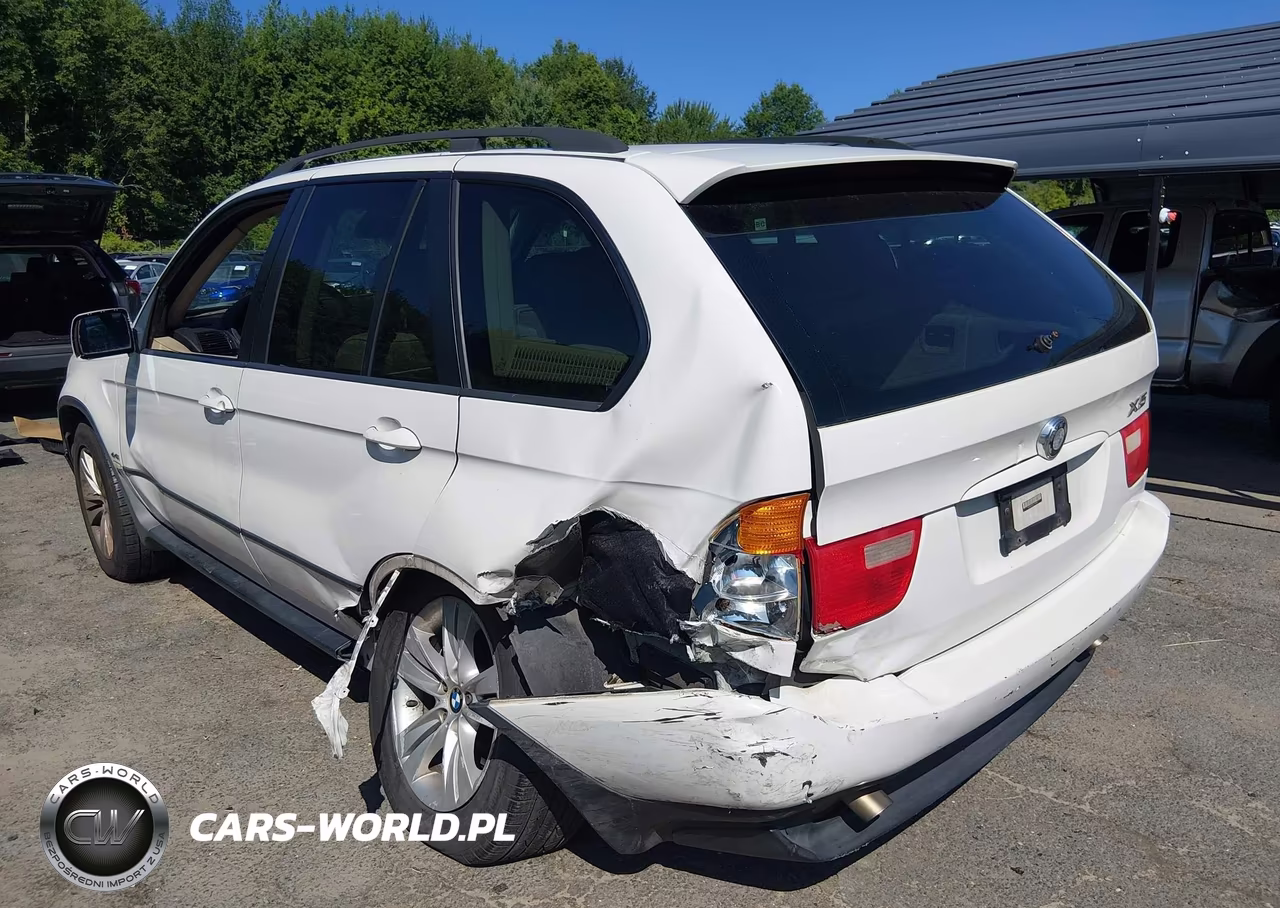 2006 BMW X5 3.0I VIN:5UXFA13576LY40058 - 3