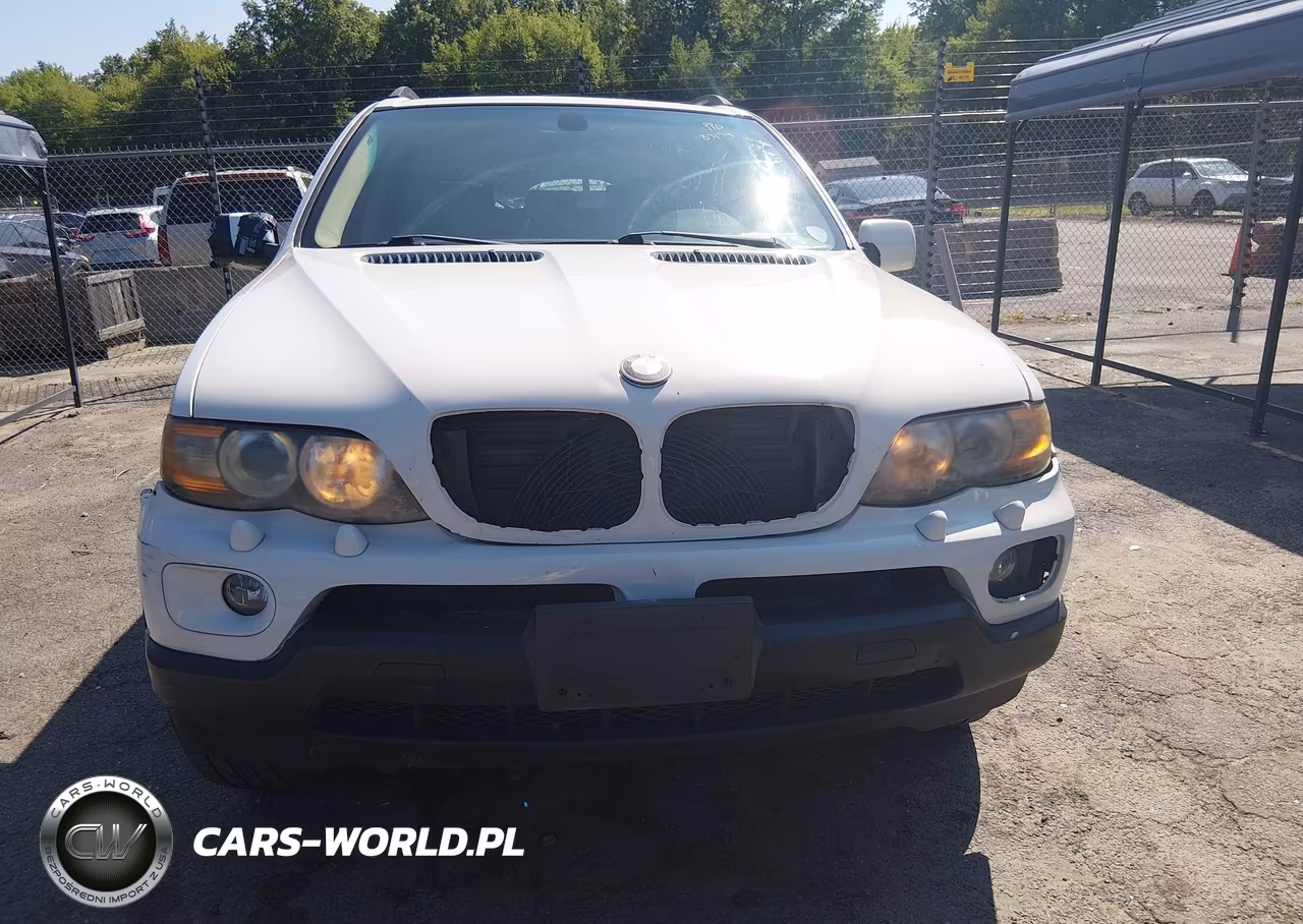 2006 BMW X5 3.0I VIN:5UXFA13576LY40058 - 6