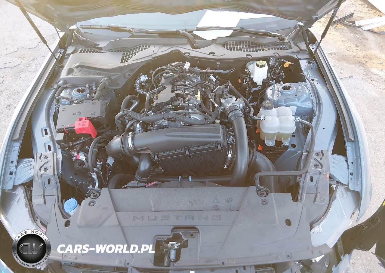 2026 Ford Mustang Ecoboost Fastback VIN:1FA6P8TH8T5101063 - 10
