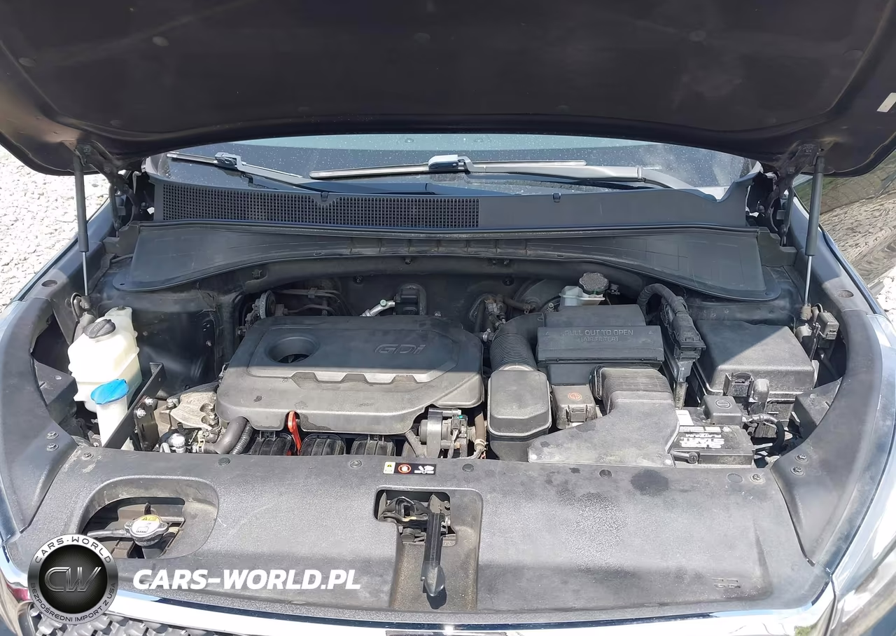 2018 Kia Sorento 2.4L L VIN:5XYPG4A30JG423506 - 10