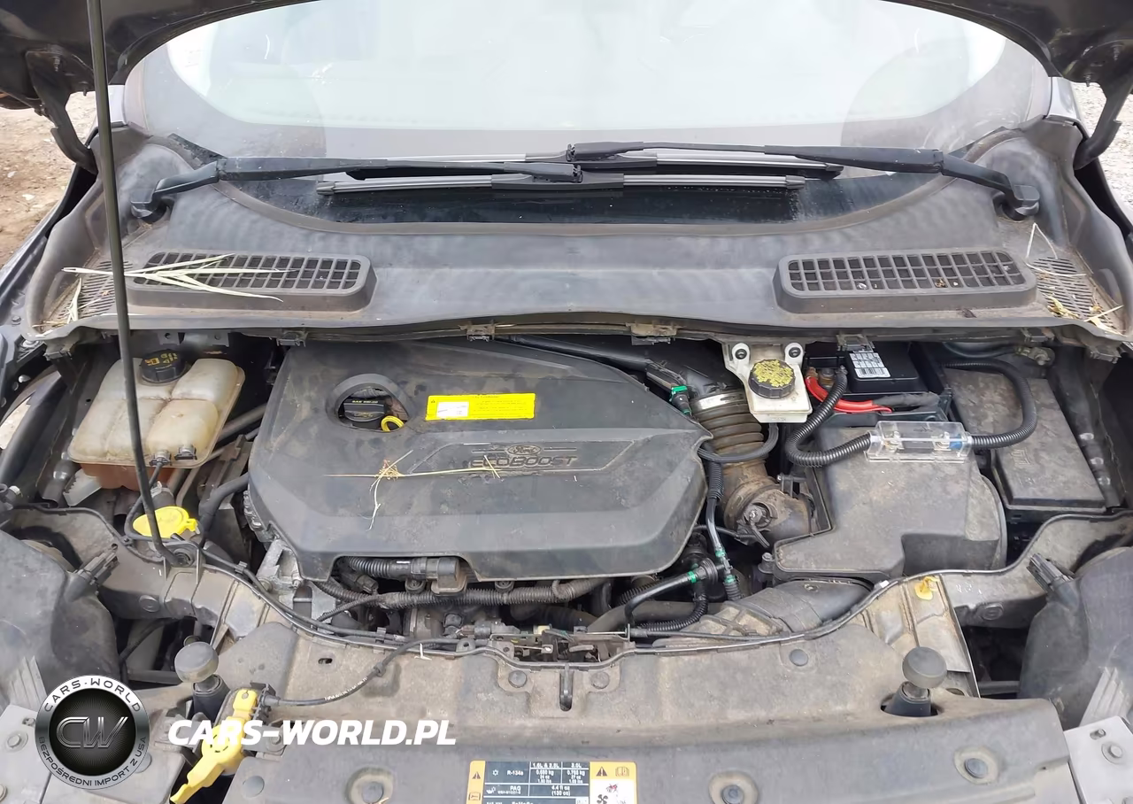 2016 Ford Escape Se VIN:1FMCU0GX2GUA49252 - 10