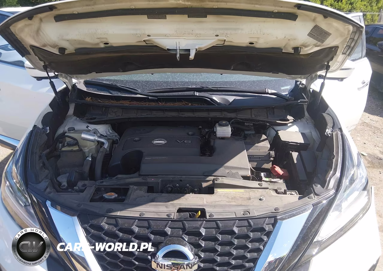 2019 Nissan Murano Platinum VIN:5N1AZ2MJ2KN161508 - 10