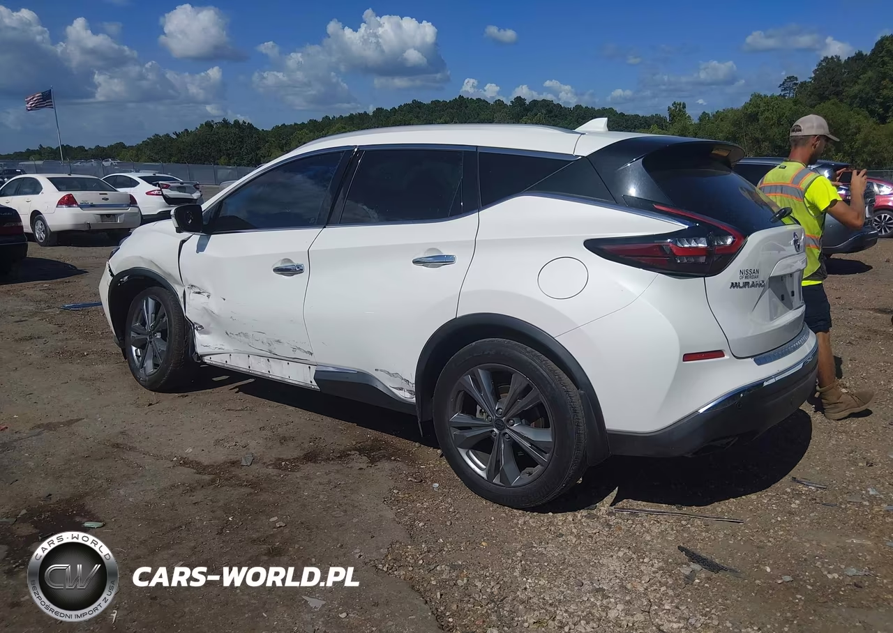 2019 Nissan Murano Platinum VIN:5N1AZ2MJ2KN161508 - 3