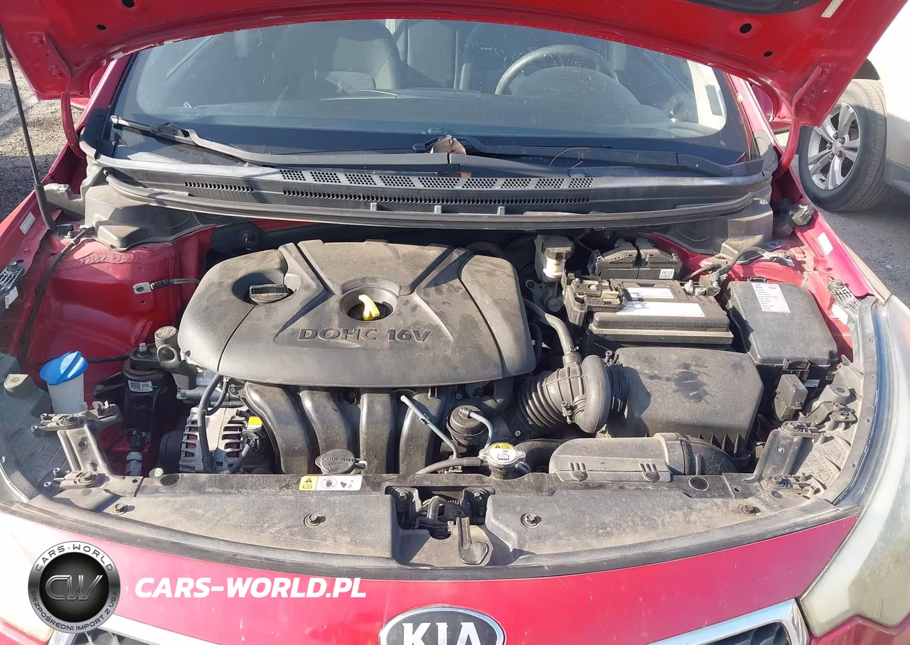 2015 Kia Forte Lx VIN:KNAFX4A6XF5421703 - 10