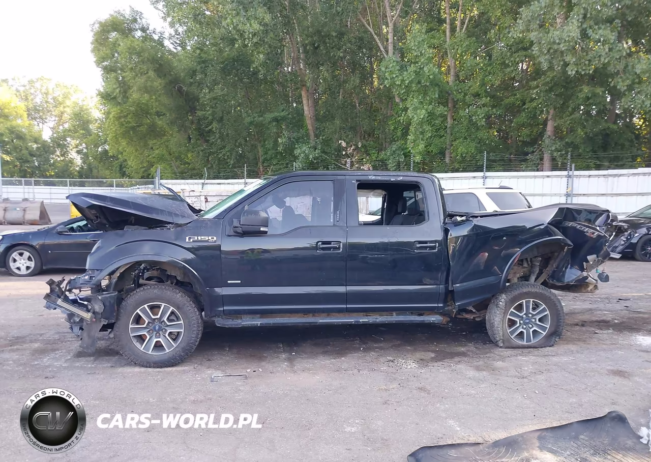 2015 Ford F-150 Xlt VIN:1FTFW1EG9FFC13975 - 14