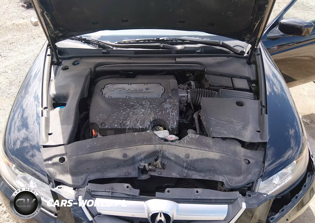 2006 Acura Tl VIN:19UUA66286A011911 - 10